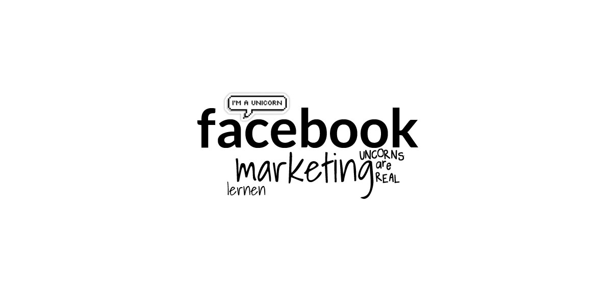 Facebook Marketing Online Kurs: Ad und Fans Crashkurs für Social Media Manager