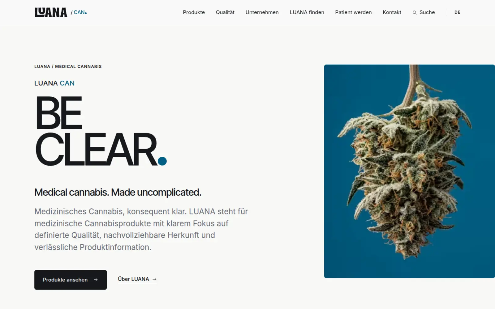 BUDZA — Branding & Website for a Medical Cannabis Brand, campaign visual